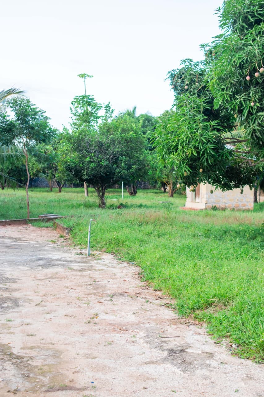 2 ACRES FOR SALE – BOFA, KILIFI