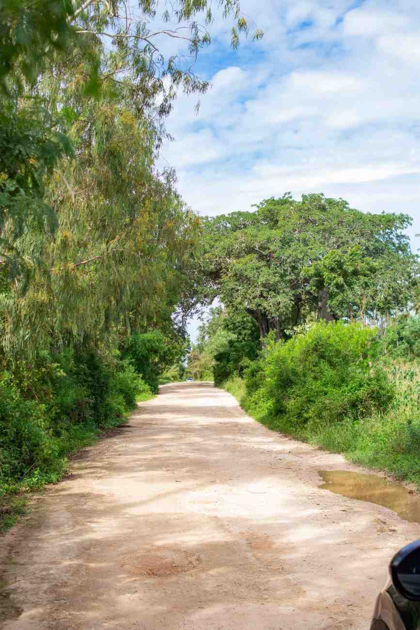 TEZO PALM GARDENS – KILIFI gallery 7