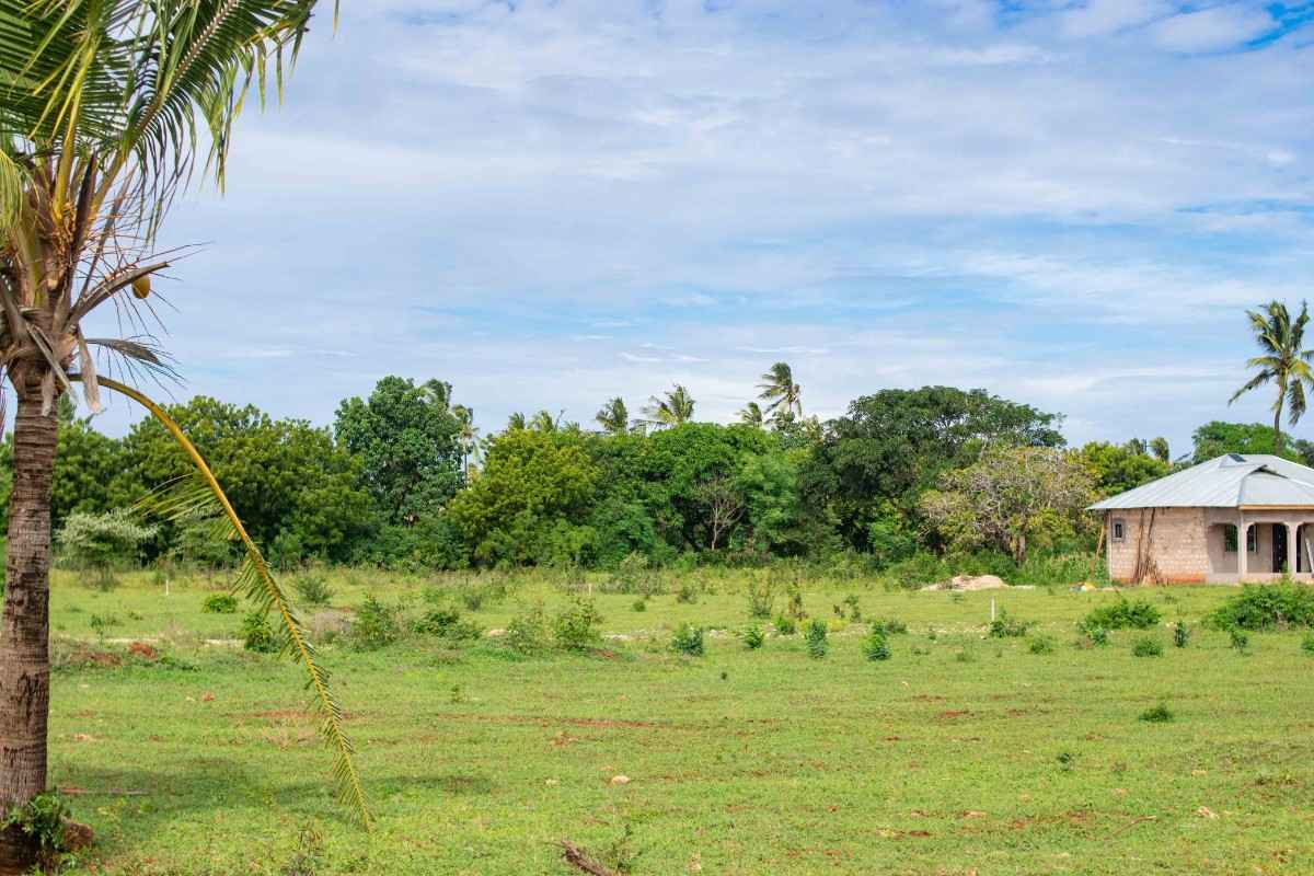 TEZO PALM GARDENS – KILIFI gallery 6