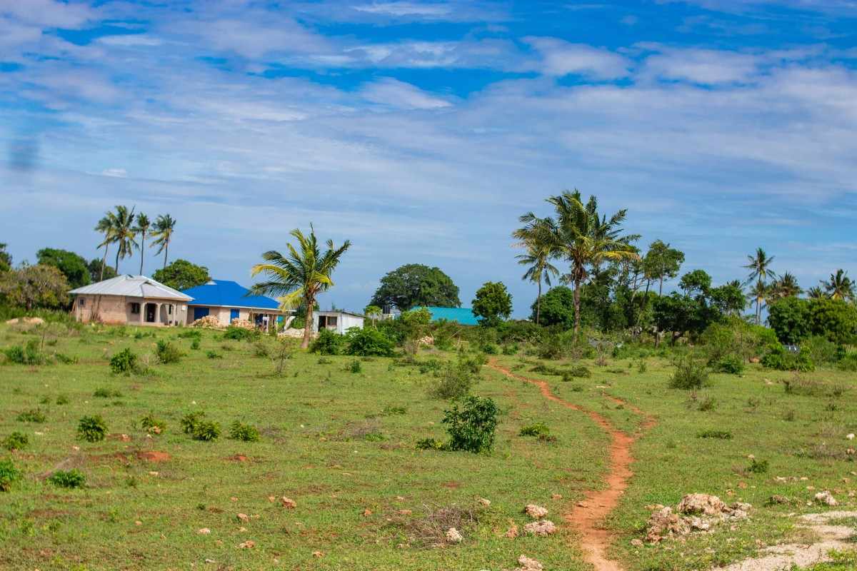 TEZO PALM GARDENS – KILIFI gallery 10