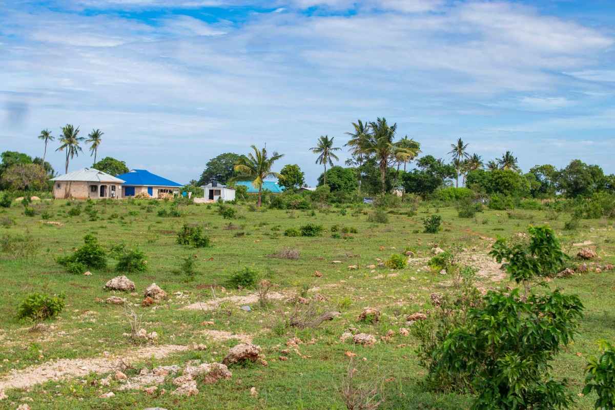 TEZO PALM GARDENS – KILIFI gallery 2