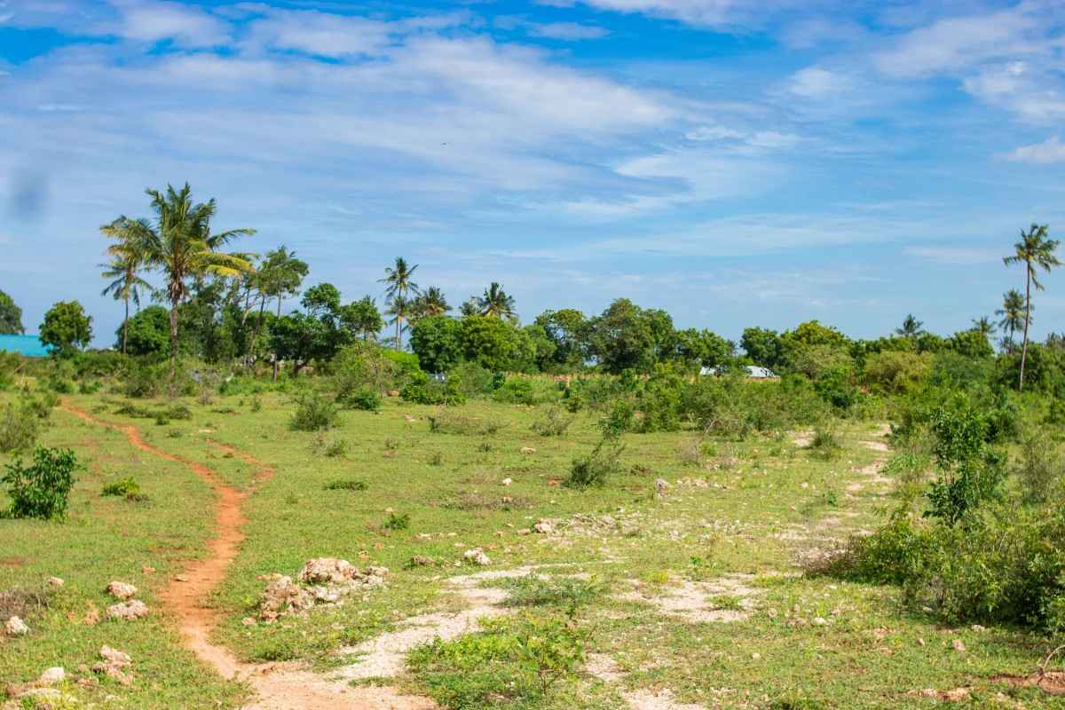 TEZO PALM GARDENS – KILIFI gallery 3