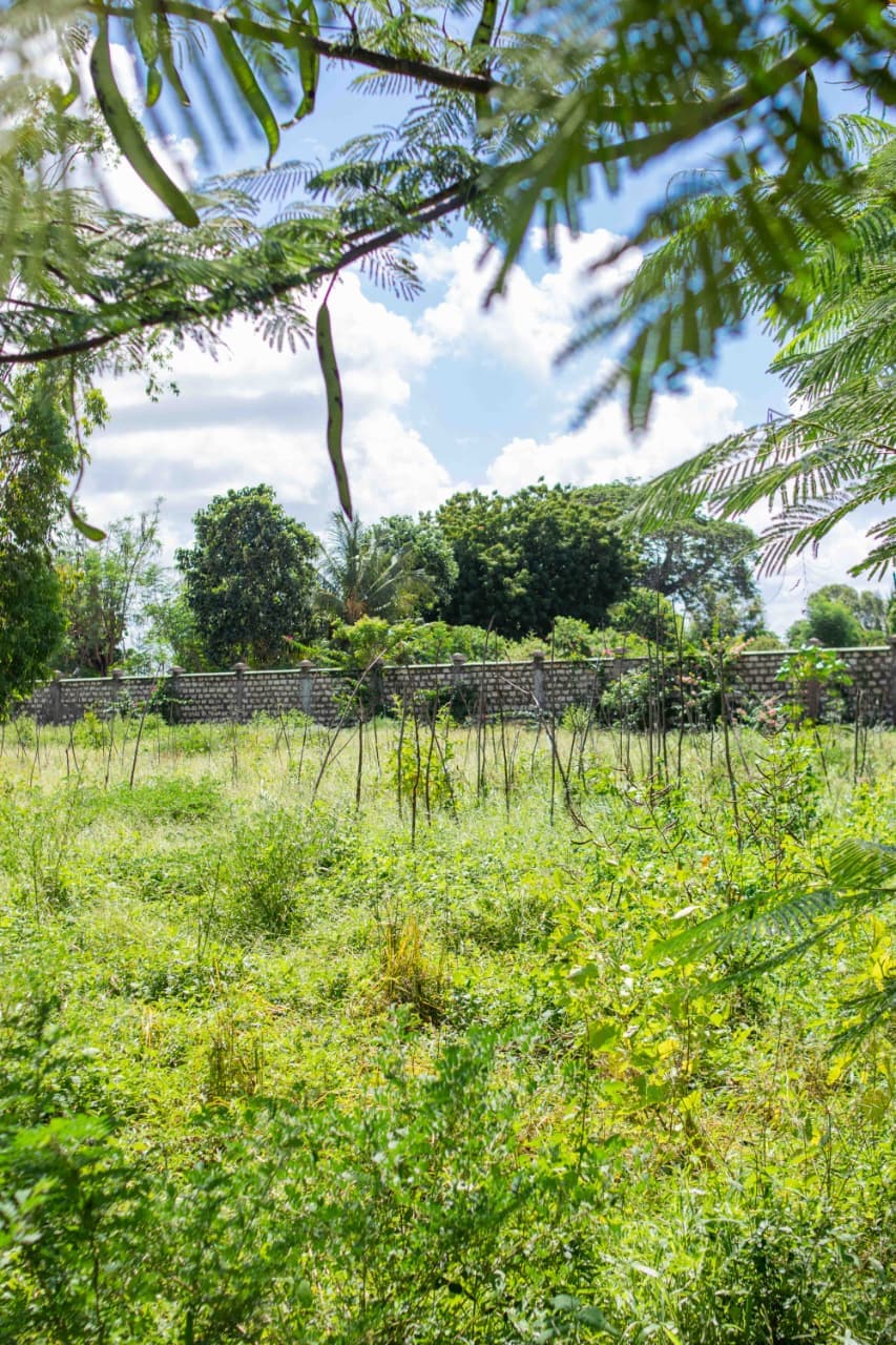 LIVE JUST 10 MINUTES FROM BOFA BEACH – KILIFI