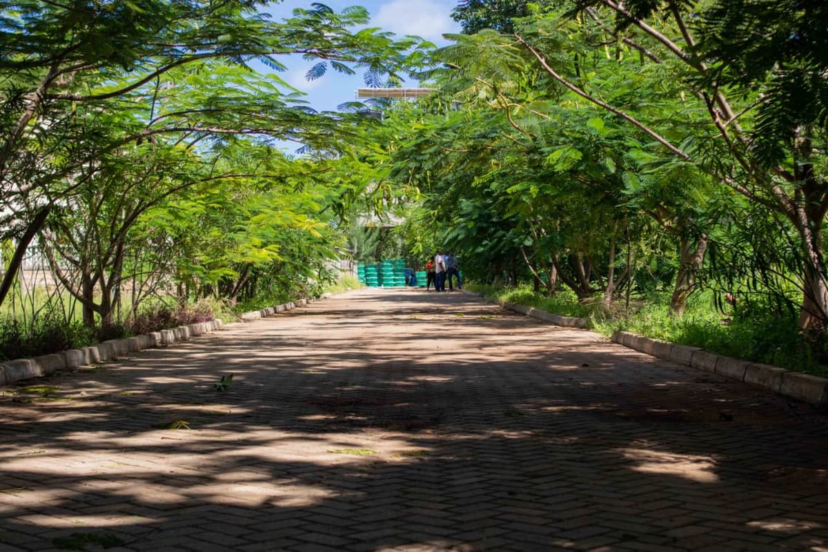 LIVE JUST 10 MINUTES FROM BOFA BEACH – KILIFI gallery 11