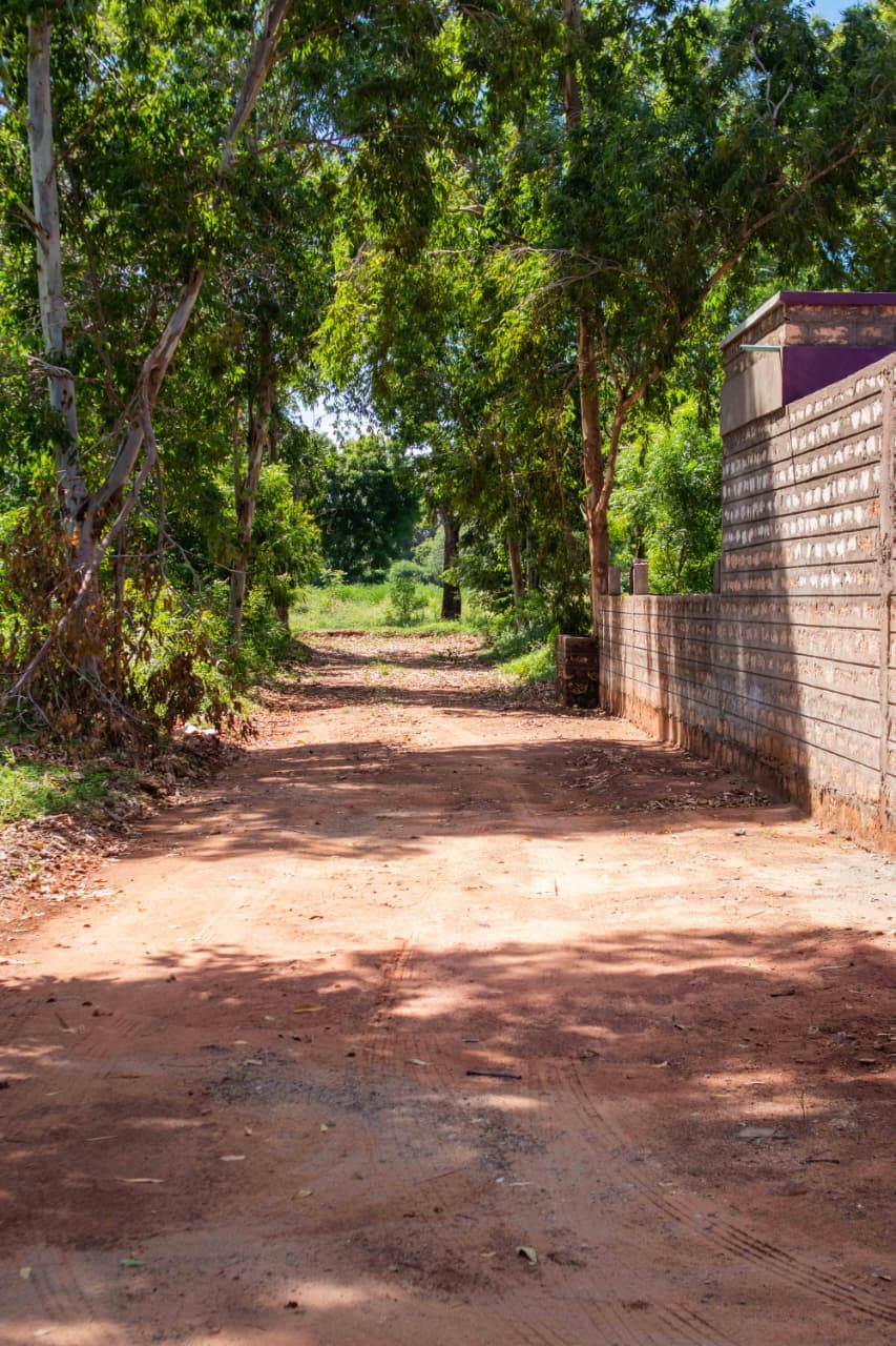 LIVE JUST 10 MINUTES FROM BOFA BEACH – KILIFI gallery 5