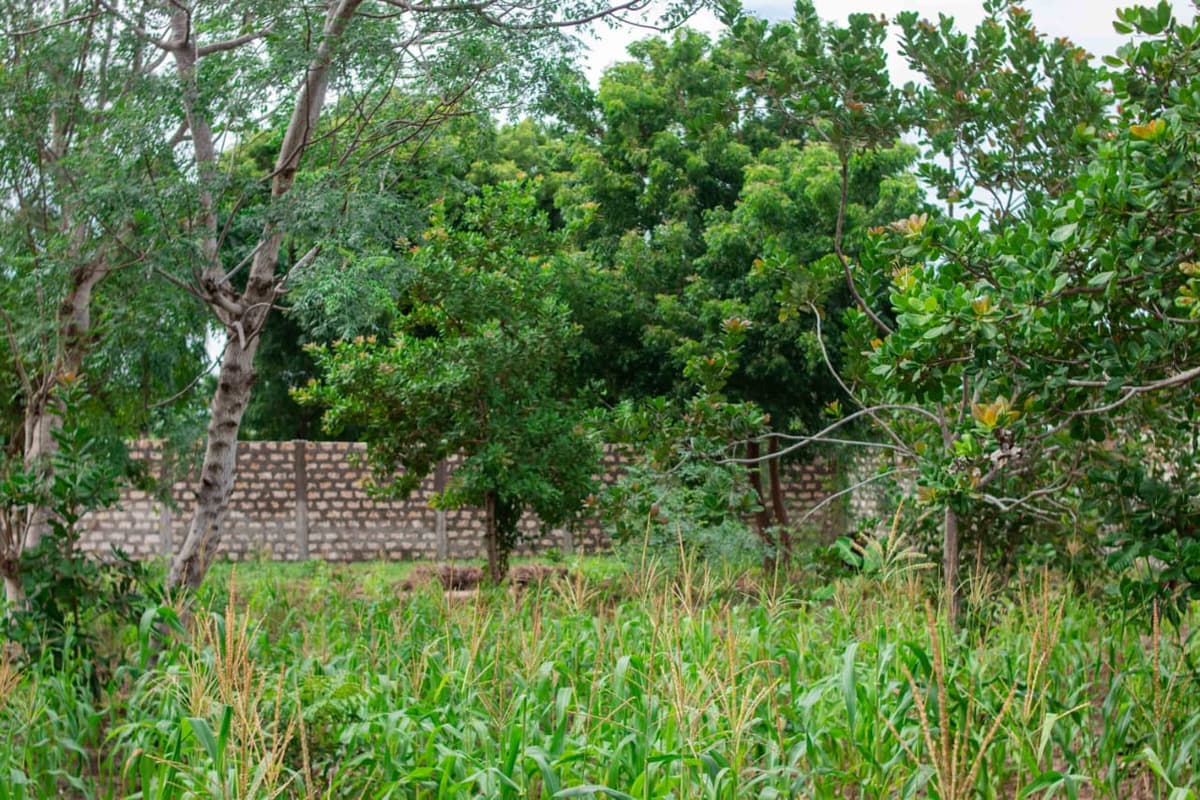 ½ ACRE PROPERTY FOR SALE – ROKA, KILIFI gallery 16