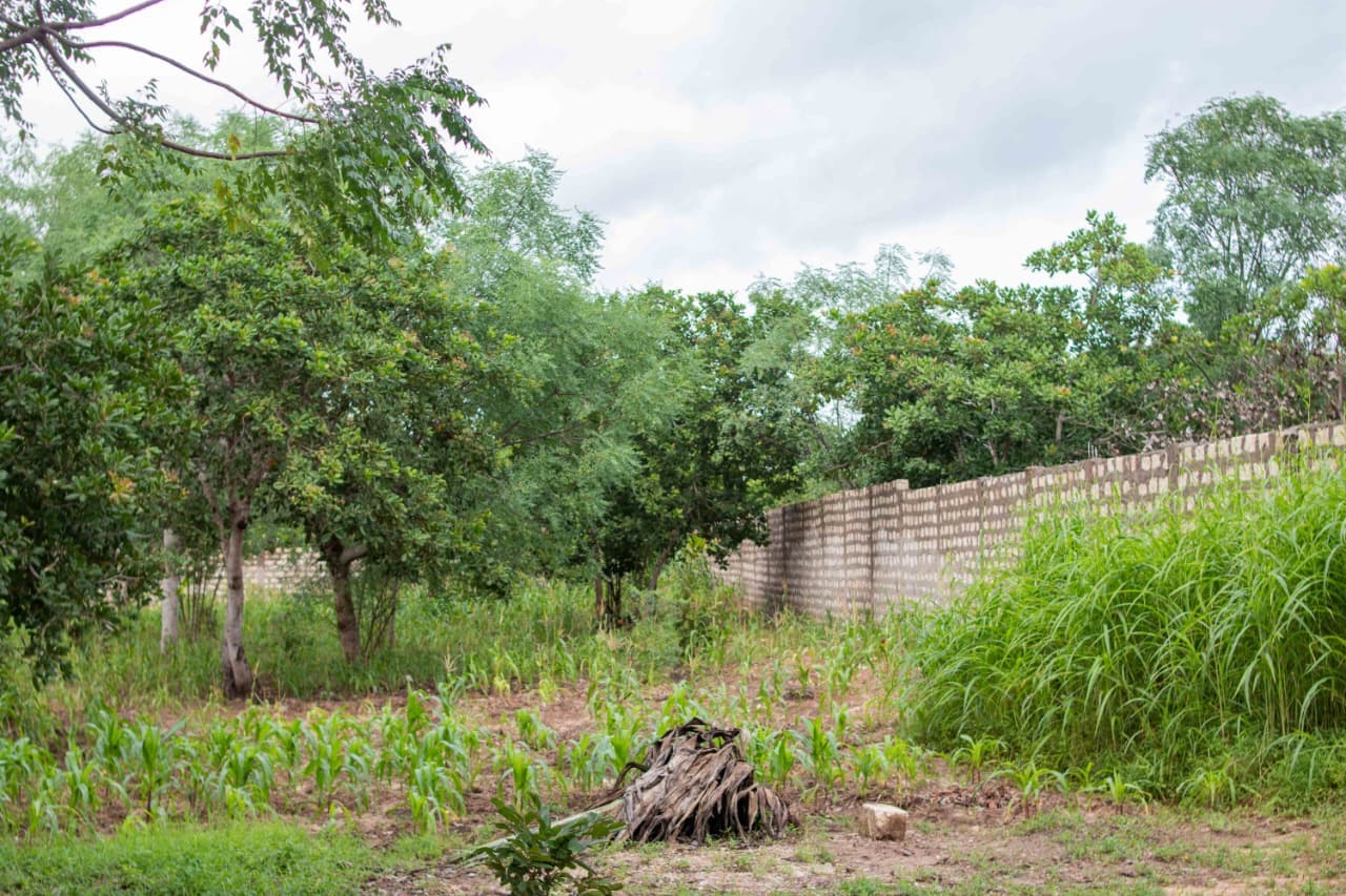 ½ ACRE PROPERTY FOR SALE – ROKA, KILIFI