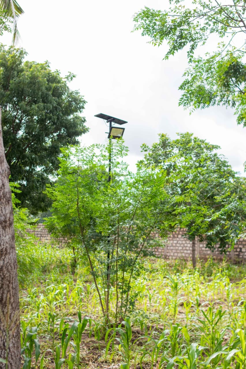 ½ ACRE PROPERTY FOR SALE – ROKA, KILIFI gallery 13