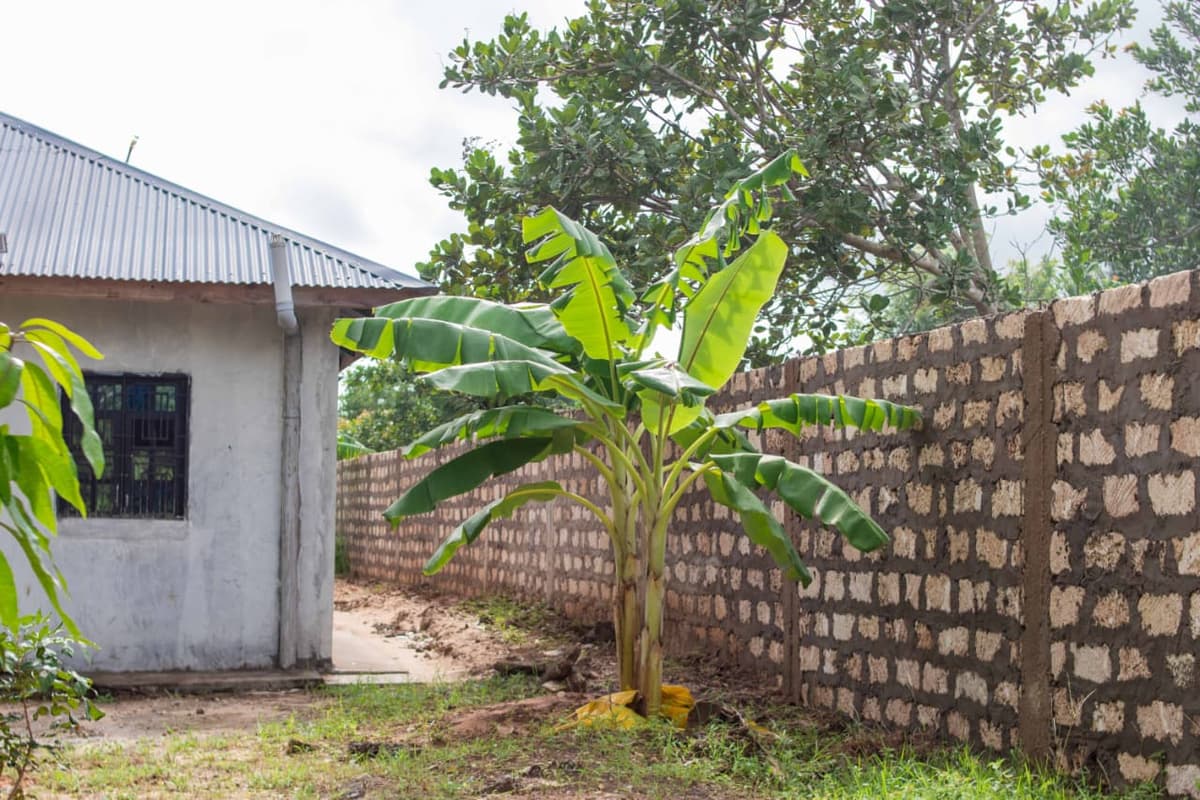 ½ ACRE PROPERTY FOR SALE – ROKA, KILIFI gallery 9